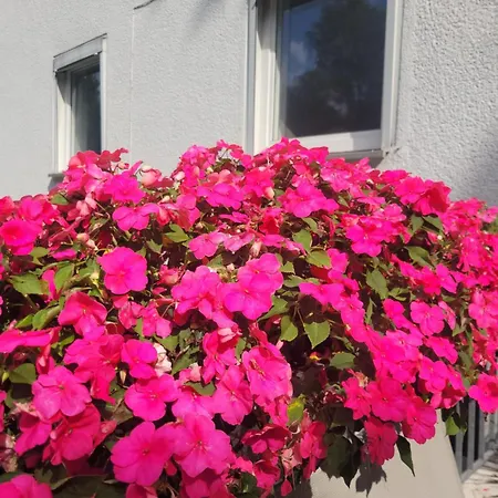 Get-your-flat - Traumhaft Niedliche Fewo149, 2 Zr Kue Bad, Haustier Nur Auf Anfrage, Ruhig & Stadtnah Eg -