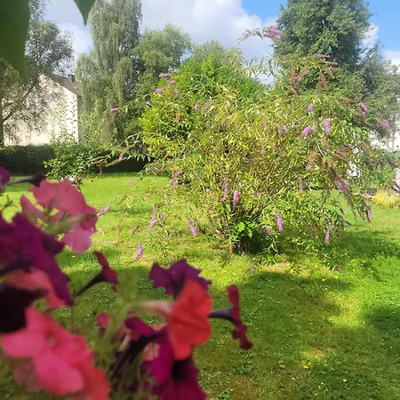 Apartamento Get-your-flat - Traumhaft Niedliche Fewo149, 2 Zr Kue Bad, Haustier Nur Auf Anfrage, Ruhig & Stadtnah Eg -