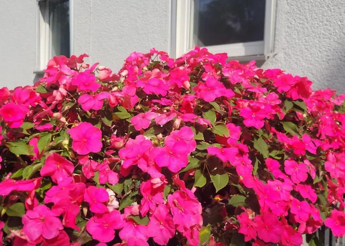 Get-your-flat - Traumhaft Niedliche Fewo149, 2 Zr Kue Bad, Haustier Nur Auf Anfrage, Ruhig & Stadtnah Eg -